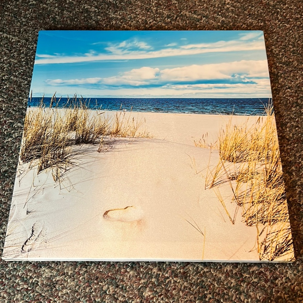 Beach themed canvas. Wall decor-